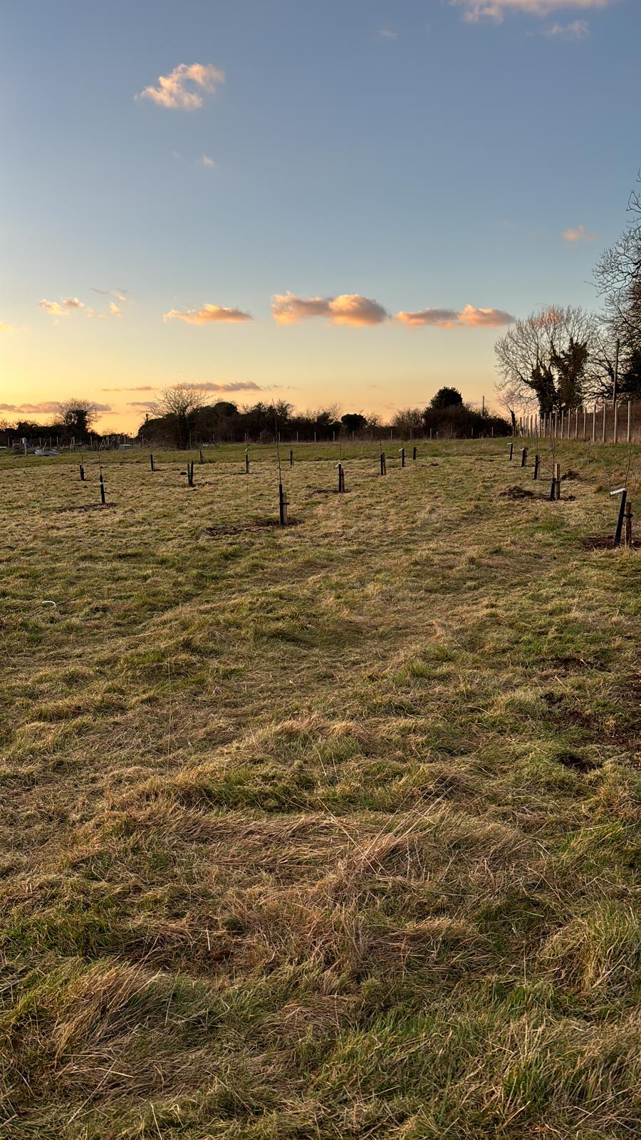 Many Hands Make Light Work: Hundreds of Members Get Stuck in to Plant 310 Fruit Trees Across The Nation